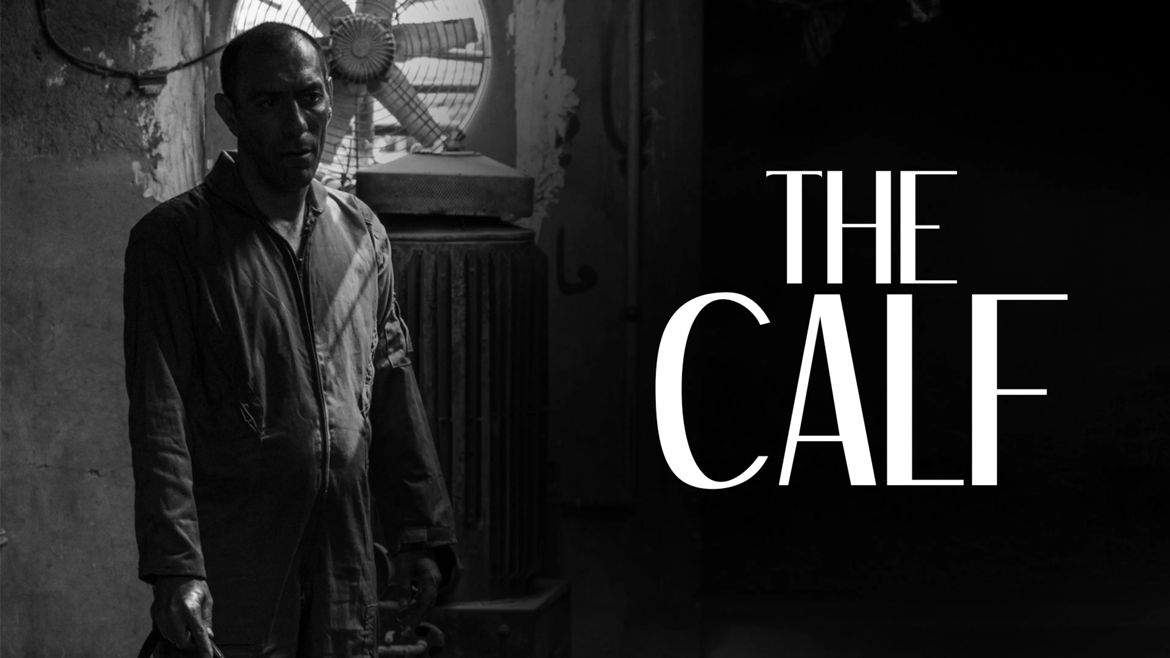 The Calf poster